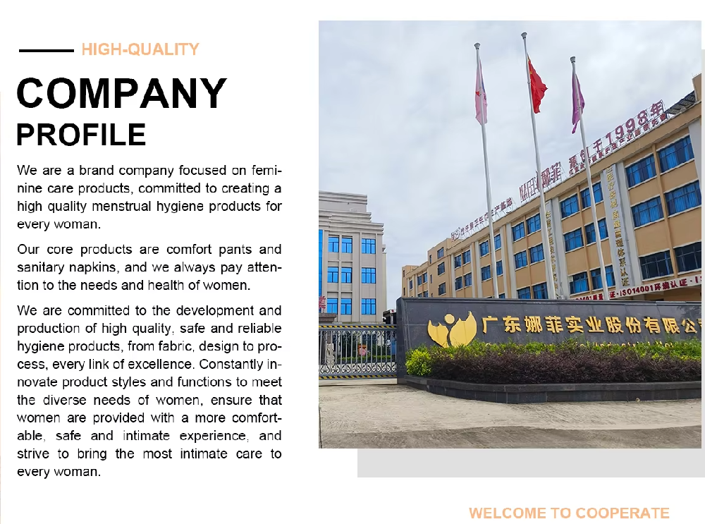 Guangdong Nafei Industrial Co., Ltd.