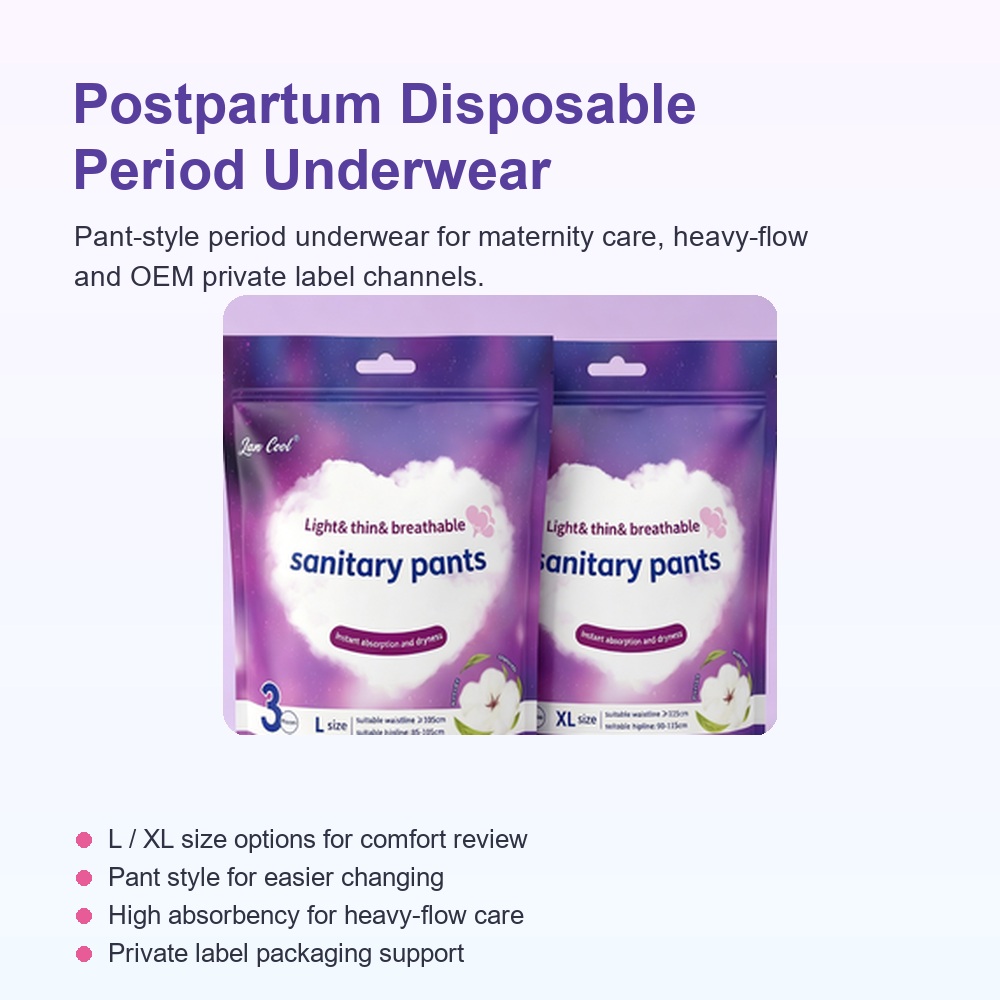 Postpartum Disposable Period Underwear for OEM Feminine Care Brands image 1
