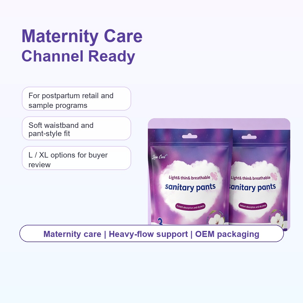 Postpartum Disposable Period Underwear for OEM Feminine Care Brands image 2